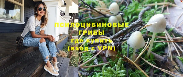 трава Зеленокумск