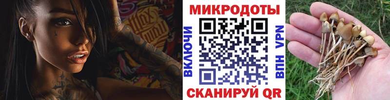 Галлюциногенные грибы прущие грибы  Купить  Демидов 
